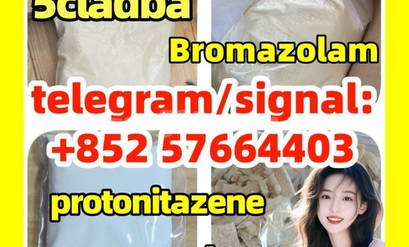 Medium with watermark z4