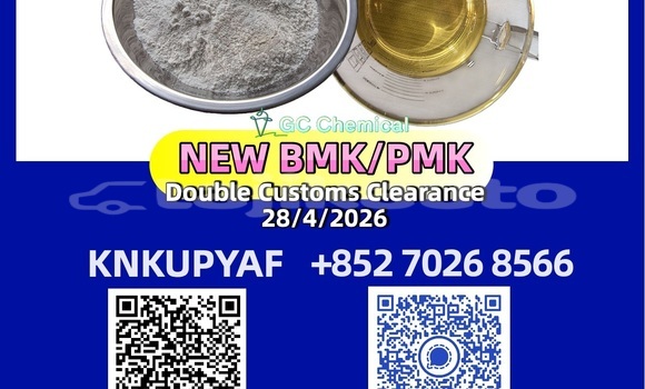 Buy Used Adler Diplomat Black Car in Ayni in Sughd