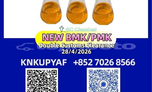 Buy Used Alfa Romeo 145 Black Car in Adrasmon in Sughd