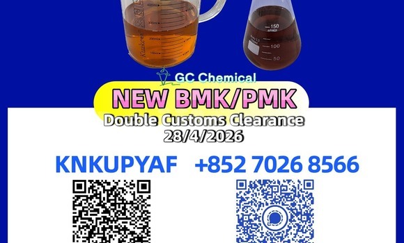 Buy Used Bristol Blenheim Black Car in Asht in Sughd