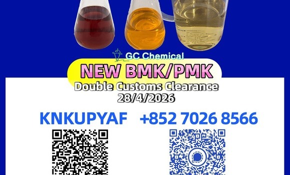 Buy Used Bolwell Nagari Black Car in Buston in Sughd