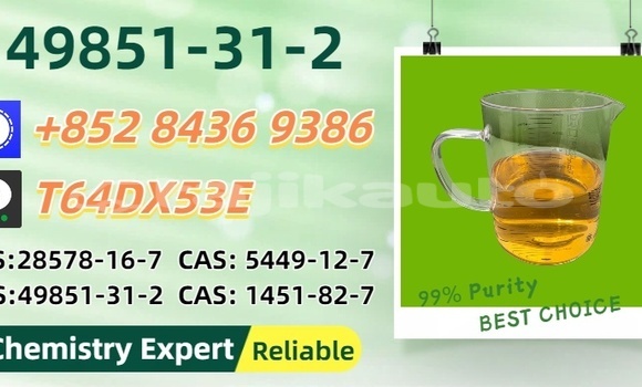 Buy Used Dodge Caravan Blue Car in Matcha in Sughd