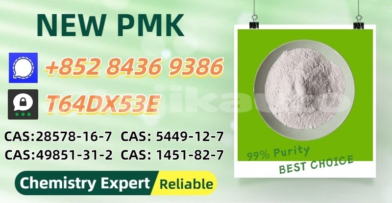 Big with watermark delorean dmc 12 sughd uroteppa 19944