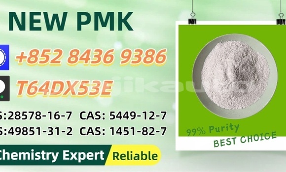 Buy Used DeLorean DMC-12 Blue Car in Uroteppa in Sughd