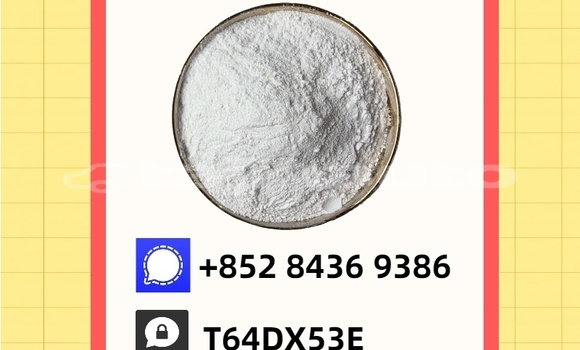 Buy Used Doninvest Orion Blue Car in Nurak in Khatlon