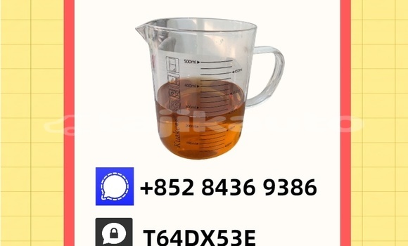 Buy Used Bedford CFL Green Car in Vakhsh in Khatlon