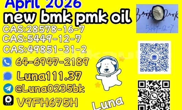 Buy Used AC 378 GT Zagato Black Car in Adrasmon in Sughd