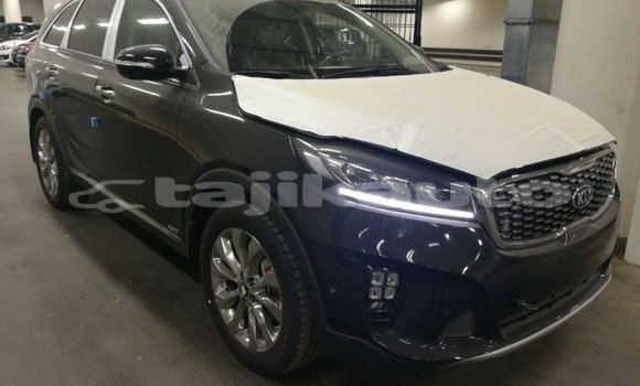 Buy Import Kia Sorento Brown Car in Import - Dubai in Dushanbe