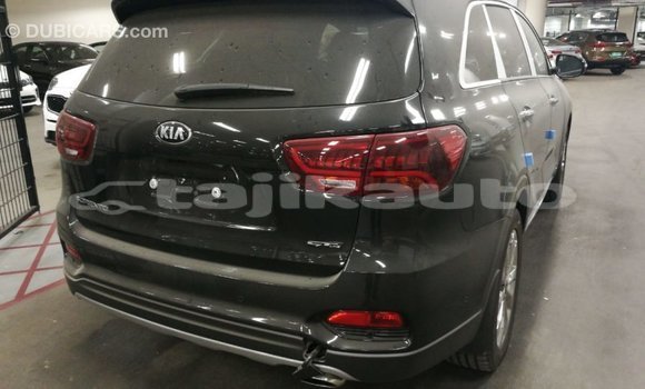 Buy Import Kia Sorento Brown Car in Import - Dubai in Dushanbe Buy Import Kia Sorento Brown Car in Import - Dubai in Dushanbe