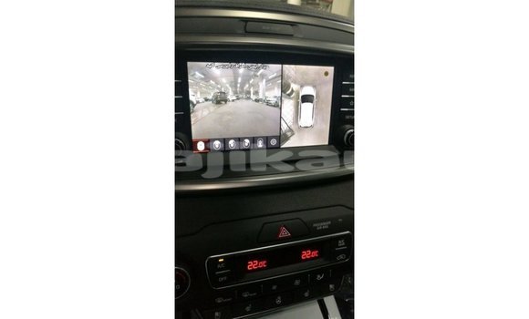 Buy Import Kia Sorento Brown Car in Import - Dubai in Dushanbe Buy Import Kia Sorento Brown Car in Import - Dubai in Dushanbe