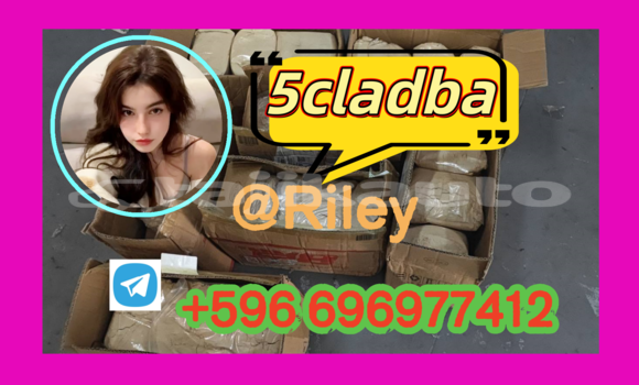 Medium with watermark 1.4