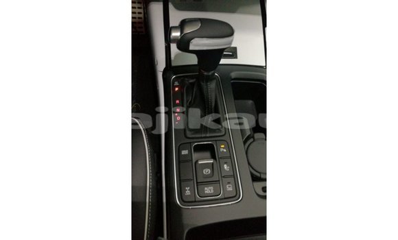Buy Import Kia Sorento Brown Car in Import - Dubai in Dushanbe Buy Import Kia Sorento Brown Car in Import - Dubai in Dushanbe