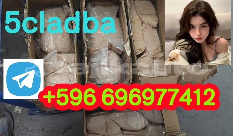 Big with watermark 2.1