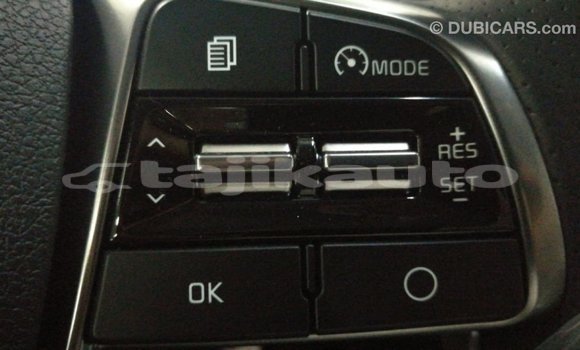 Buy Import Kia Sorento Brown Car in Import - Dubai in Dushanbe Buy Import Kia Sorento Brown Car in Import - Dubai in Dushanbe