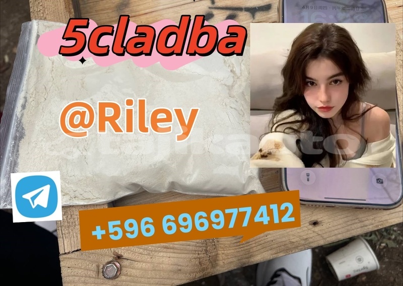 Big with watermark 1.2