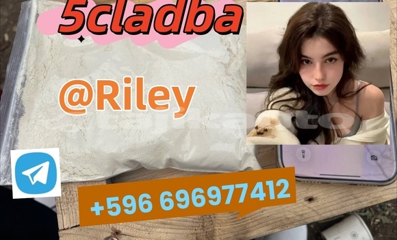 Medium with watermark 1.2