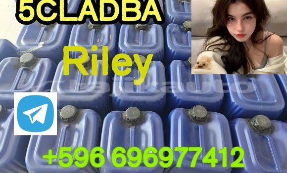 Medium with watermark 3