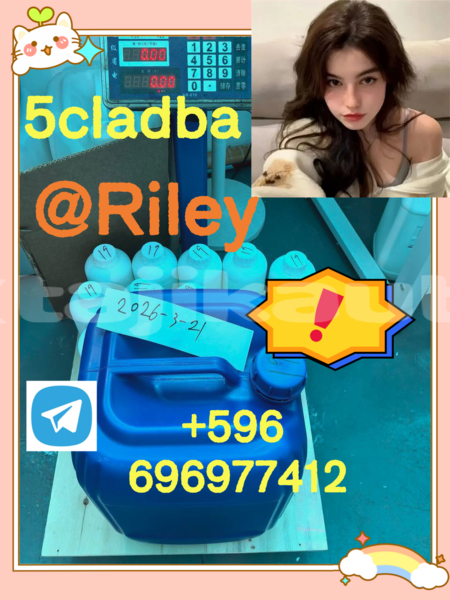 Big with watermark photo 2026 04 21 15 06 41 %e5%89%af%e6%9c%ac