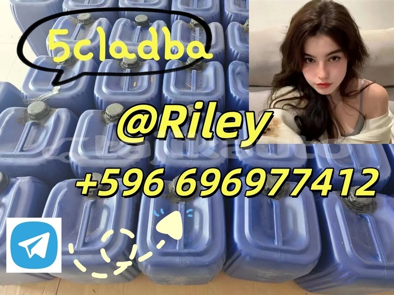 Big with watermark photo 2026 04 21 15 07 10 %e5%89%af%e6%9c%ac