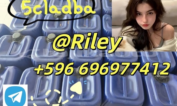 Medium with watermark photo 2026 04 21 15 07 10 %e5%89%af%e6%9c%ac