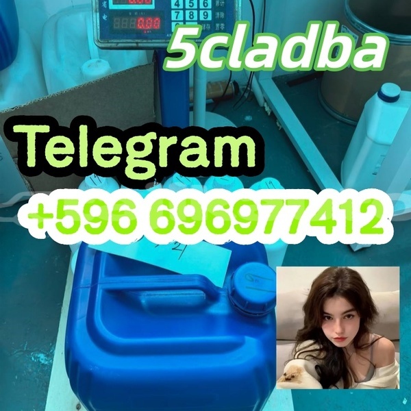 Big with watermark photo 2026 04 21 15 06 41 %e5%89%af%e6%9c%ac