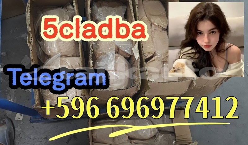 Big with watermark 2.3