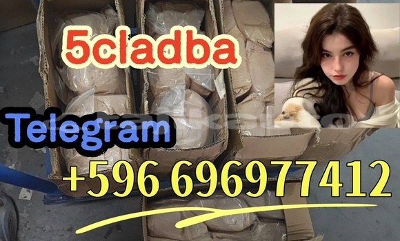 Medium with watermark 2.3