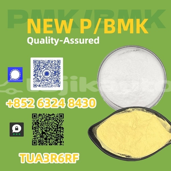 Big with watermark aurus senat khatlon moskva 20098