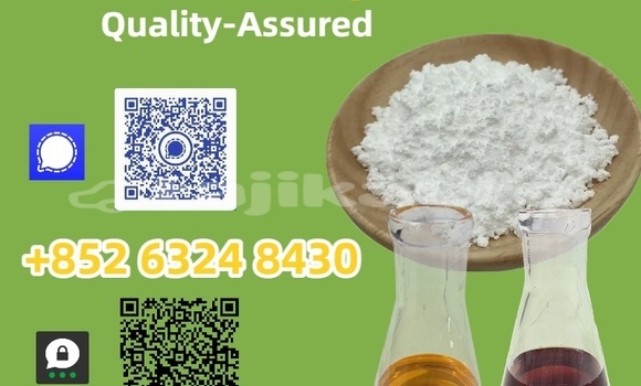 Buy Used Austin Kimberley Green Car in Matcha in Sughd