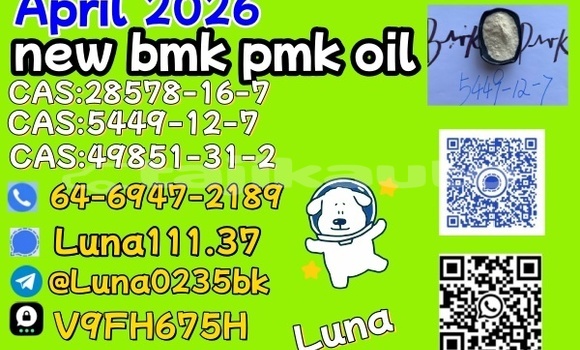 Buy Used AC 378 GT Zagato Black Car in Asht in Sughd