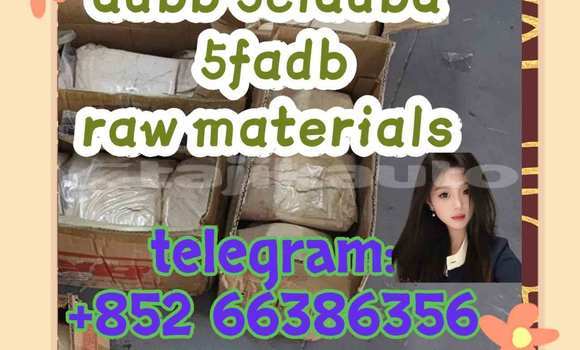 Medium with watermark 8