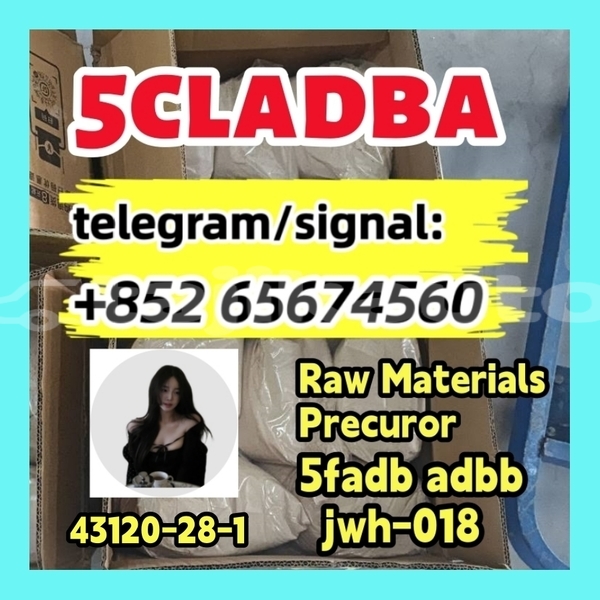 Big with watermark photo 2026 03 04 10 21 30 %e5%89%af%e6%9c%ac