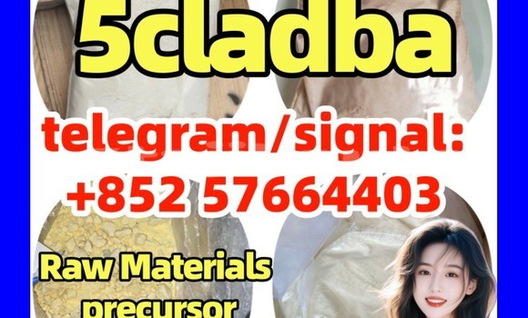 Medium with watermark 5cc5