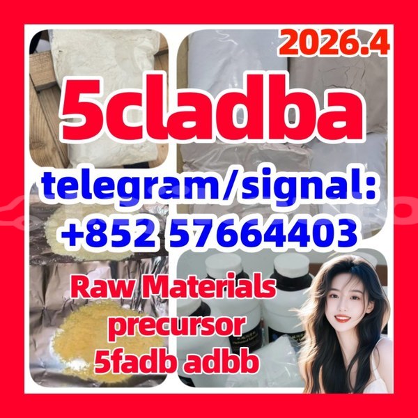 Big with watermark 5cl4