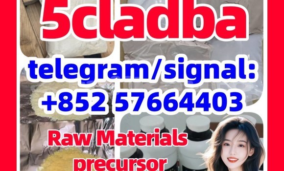 Medium with watermark 5cl4