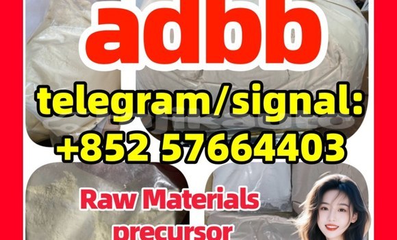 Medium with watermark 553