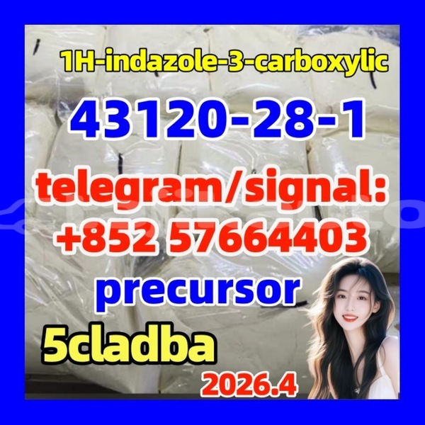 Big with watermark 43122