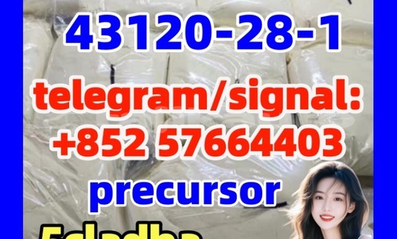 Medium with watermark 43122