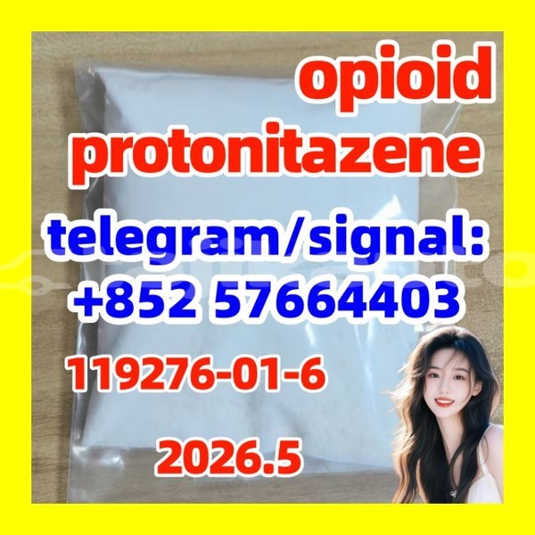 Big with watermark pro2