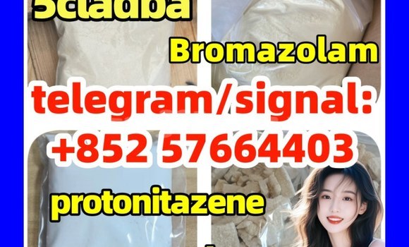 Medium with watermark z3