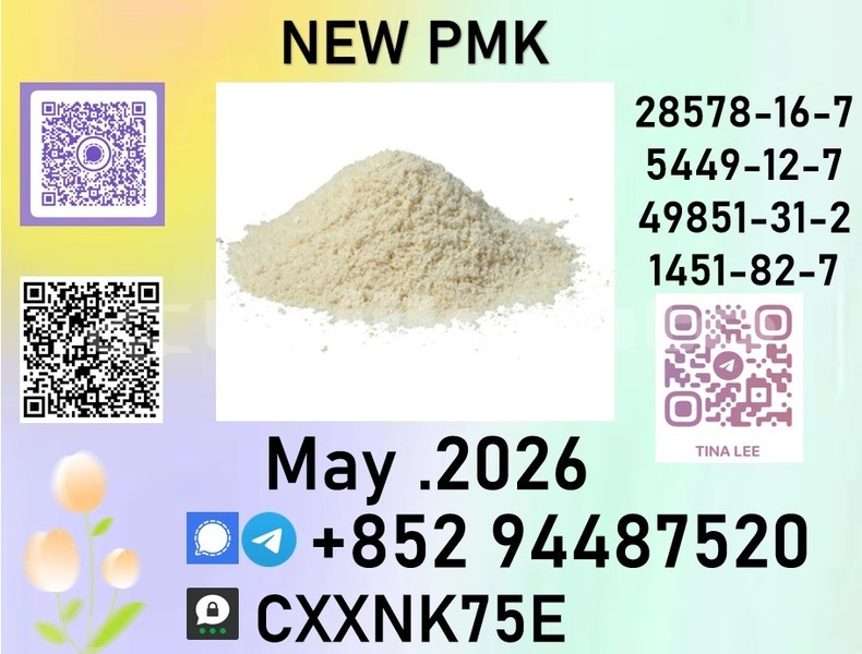 Big with watermark p13