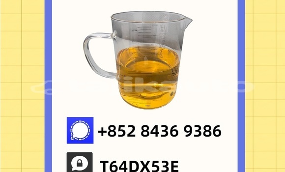 Buy Used Bilenkin Vintage Green Car in Konibodom in Sughd