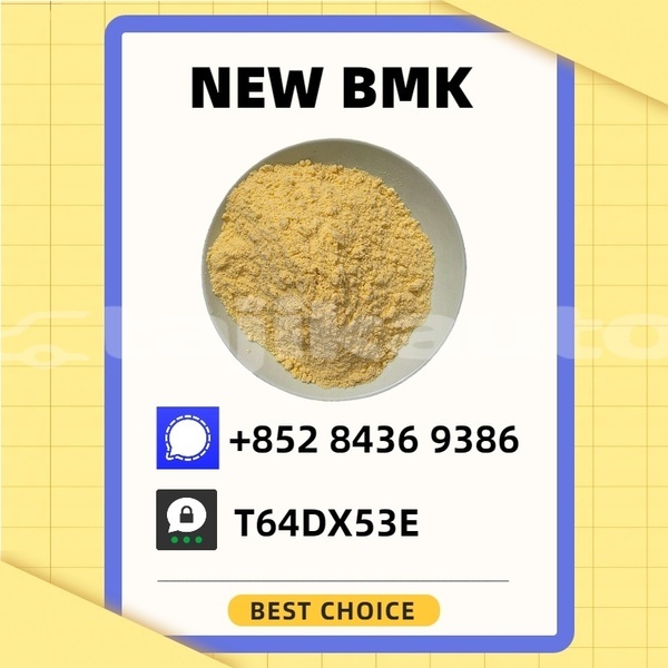 Big with watermark bedford cfs karotegin leninskiy 20292