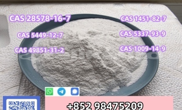 Buy PMK BMK CAS 5449-12-7 in Chkalov in Sughd Buy PMK BMK CAS 5449-12-7 in Chkalov in Sughd