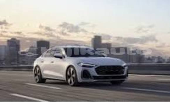 Buy Used Adler Trumpf Junior Brown Car in Chorku in Sughd