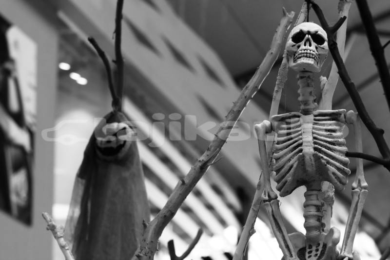 Big with watermark pexels efrem efre 2786187 14205196