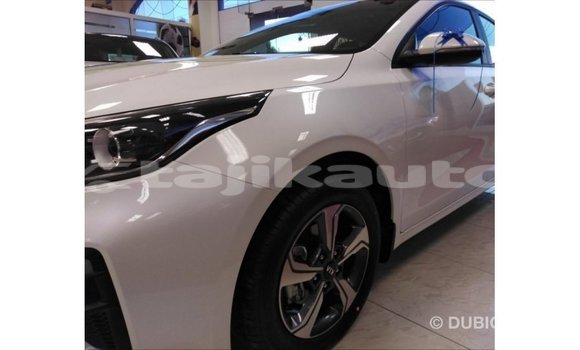Buy Import Kia Cerato White Car in Import - Dubai in Dushanbe Buy Import Kia Cerato White Car in Import - Dubai in Dushanbe