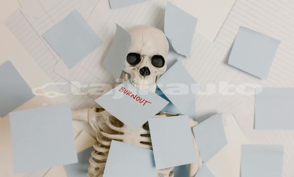 Medium with watermark pexels tara winstead 8386717