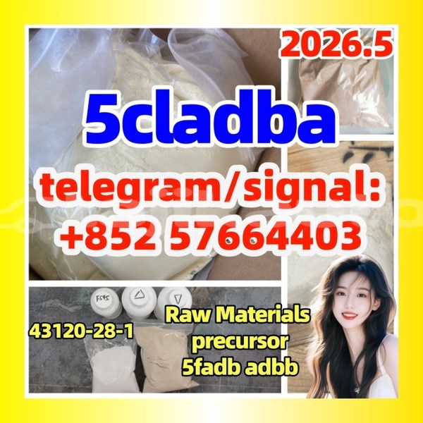 Big with watermark 5c2