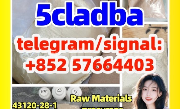 Medium with watermark 5c2